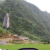 Cự