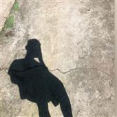 Kế