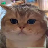 Wo